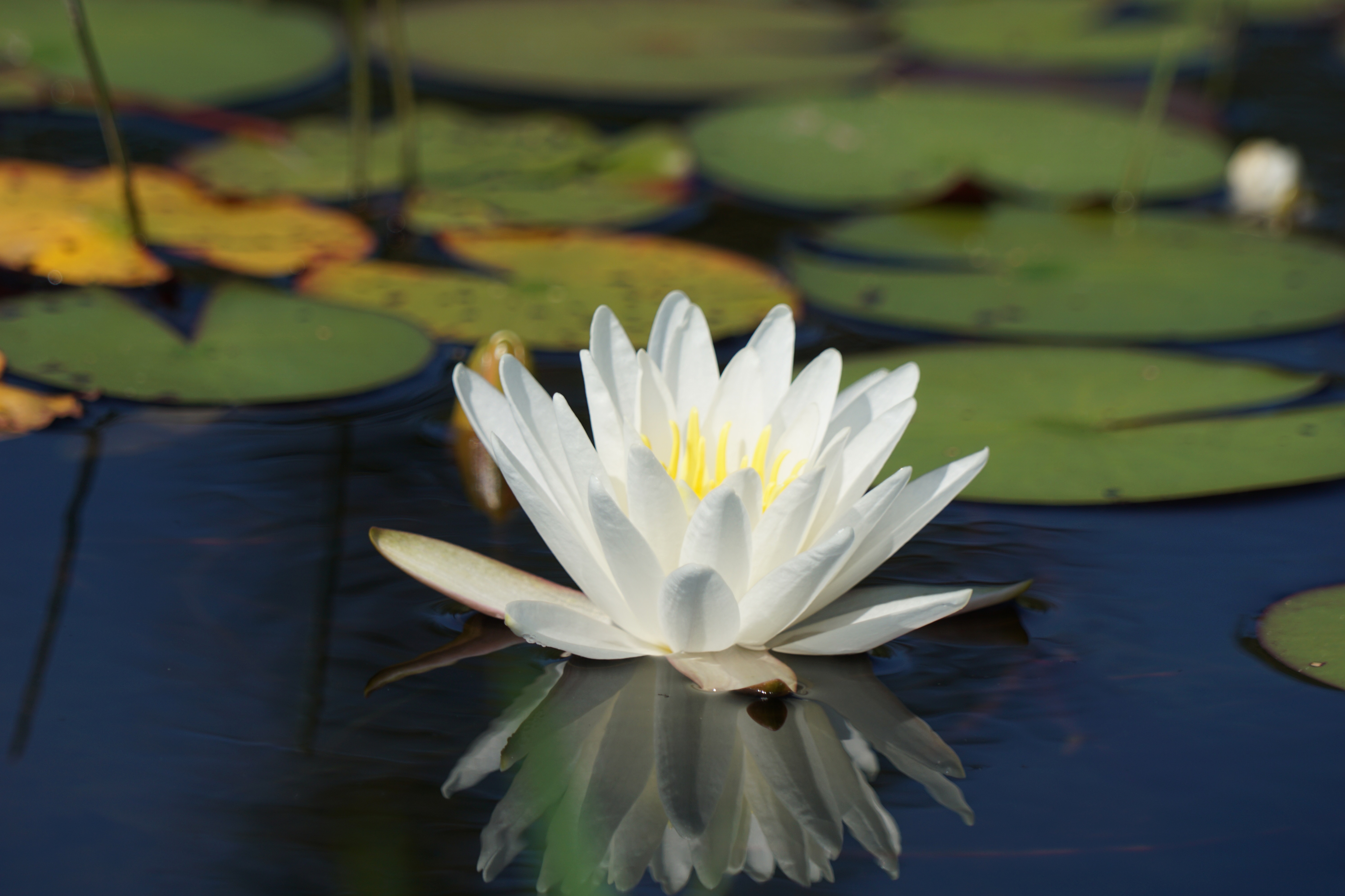 MLP_03.4 Water Quality