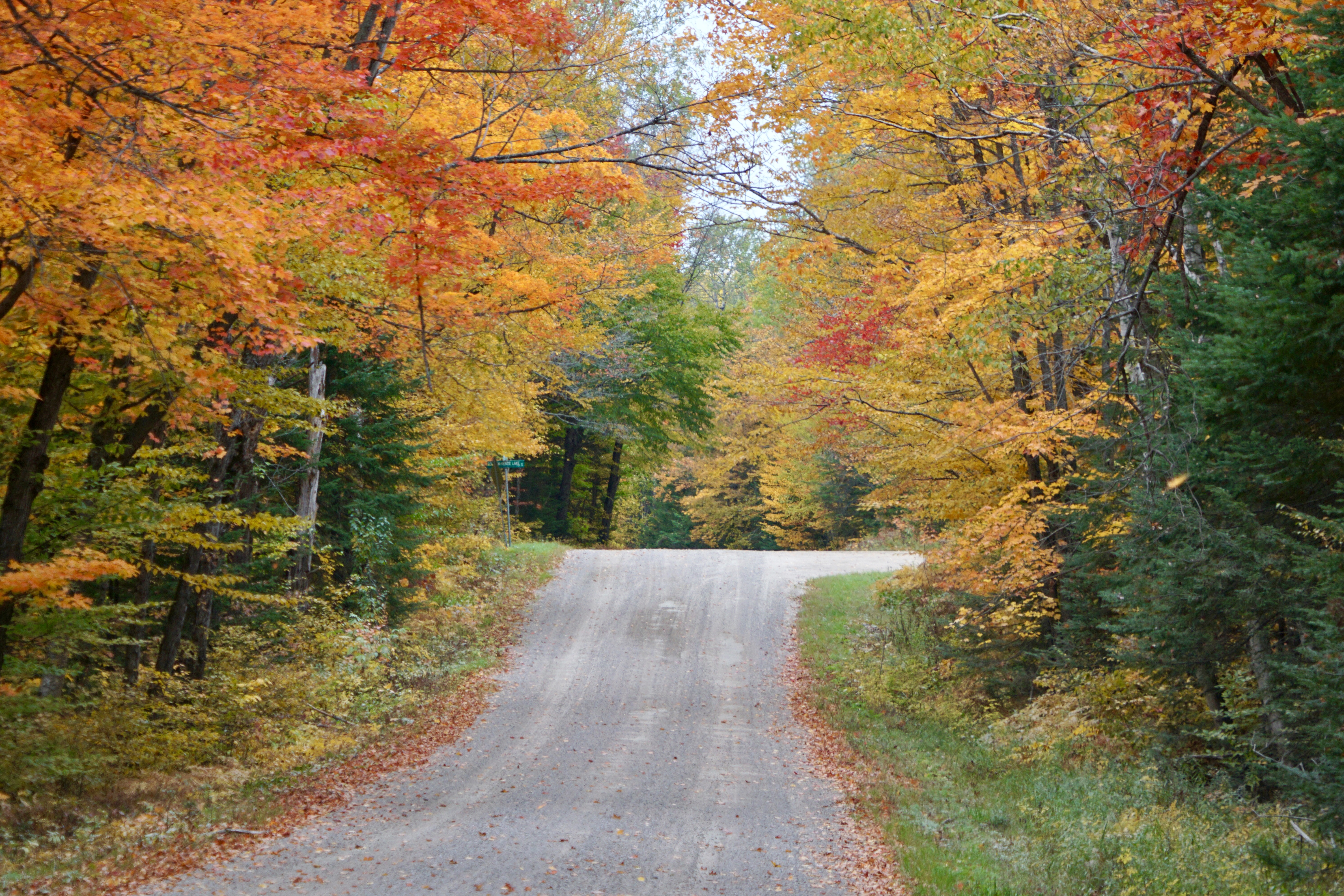 MLP_03.7 Conversion from Seasonal to Permanent