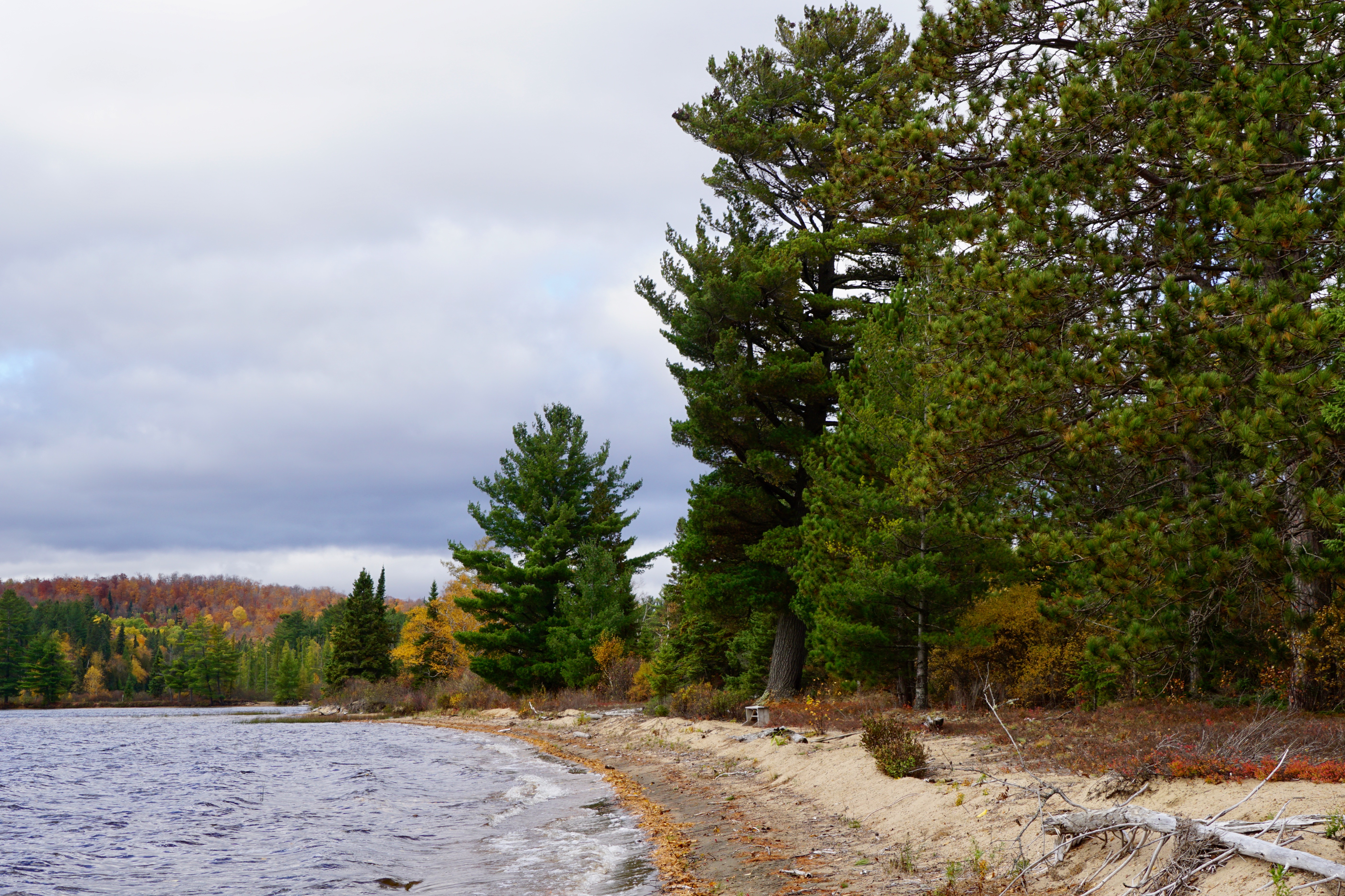 MLP_04.05 High-Use and Public Areas