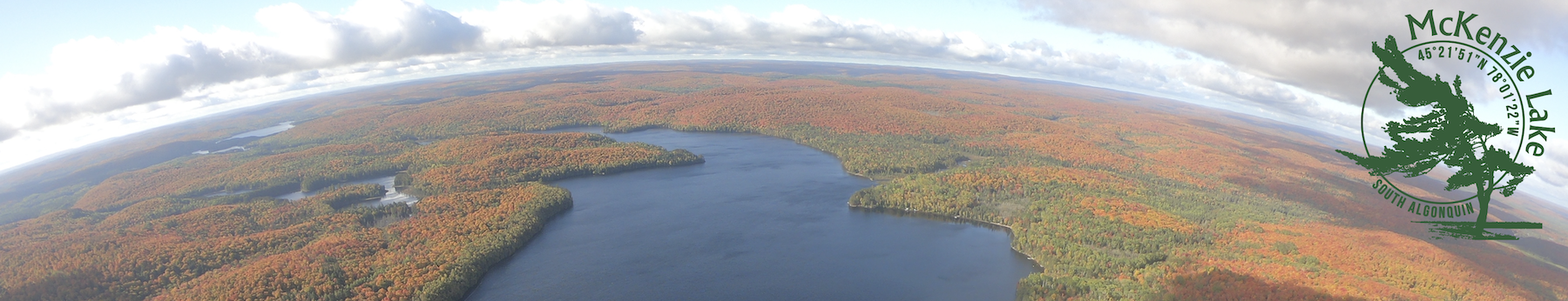 MLP_02.1 Vision and Principles