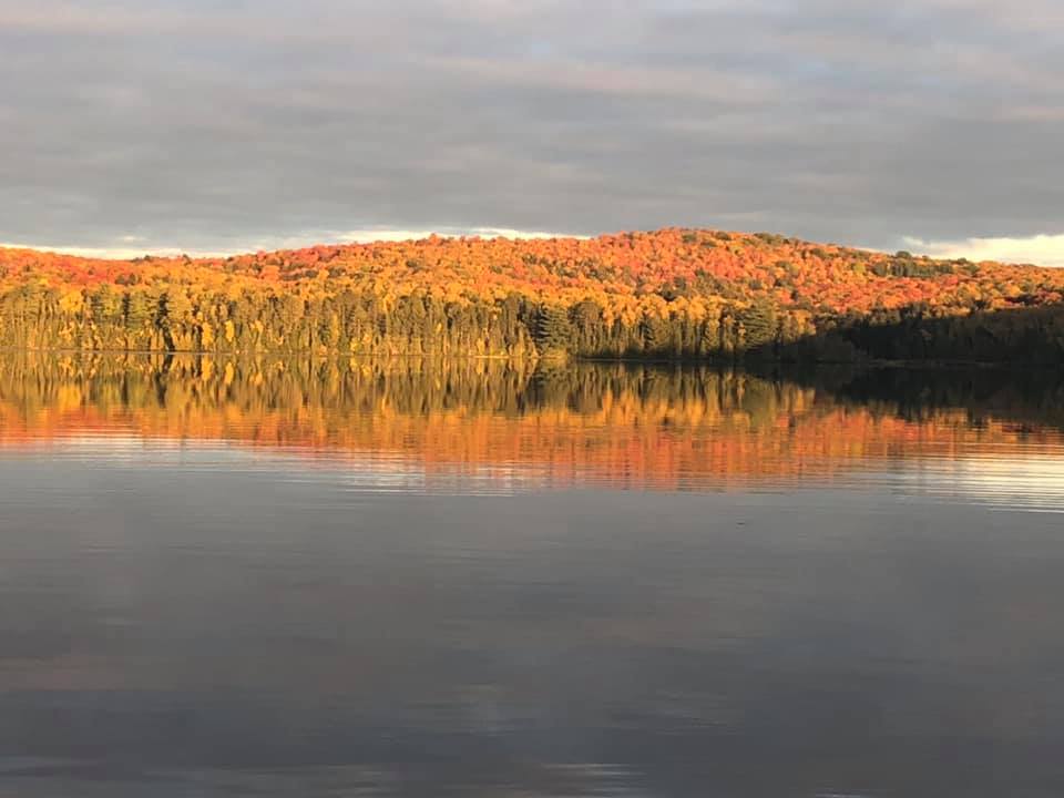 🐟 The McKenzie Lake - Lake Plan (MLP)