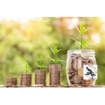 Environmental Committee Donation